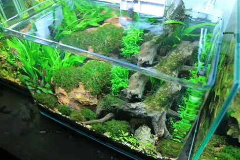 Top 5 ứng dụng kính cường lực