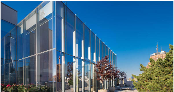 Căn Hộ Bằng Vách Kính Cường Lực Của Một Tù Nhân