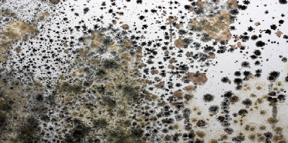 Tư vấn cách xử lý kính cường lực bị mốc đơn giản nhất