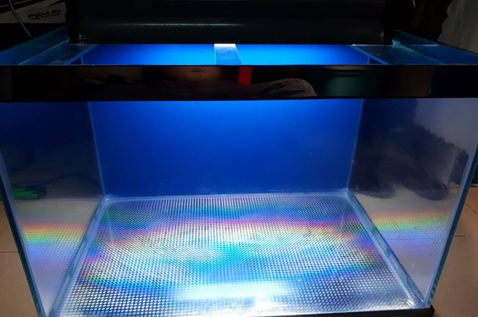 Các mẫu bể cá kính cường lực đẹp tại Hà Nội