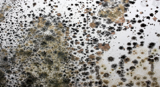 cua-kinh-cuong-luc-bi-o-ban-lau-bao cua-kinh-cuong-luc-bi-o-ban-lau-bao