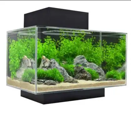 bể cá bằng kính cường lực