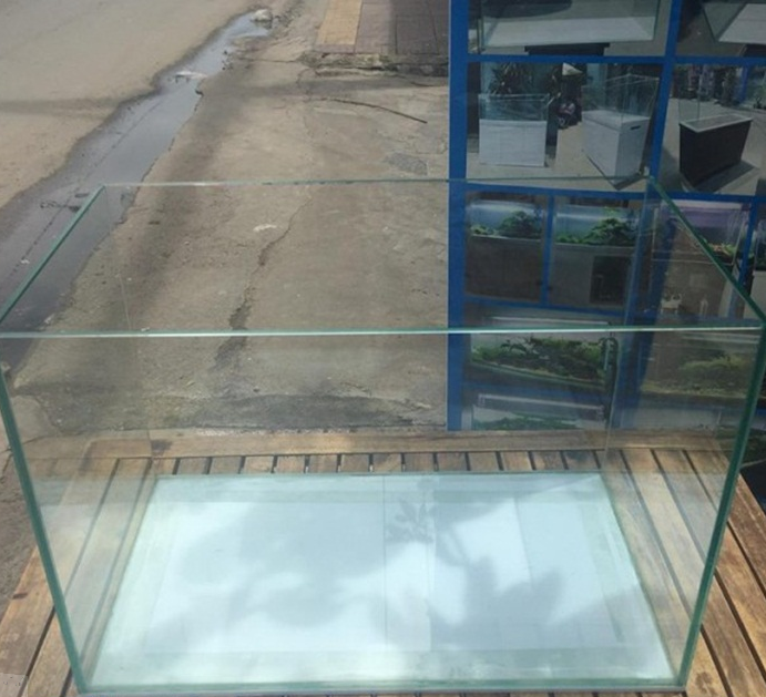 Bế cá kính cường lực đẹp