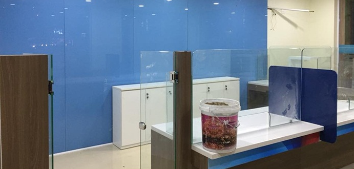 Quy trình ốp kính vào tường