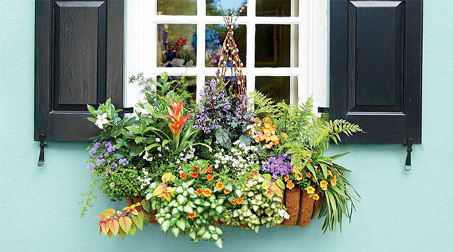 Mẫu trang trí noel đẹp cho cửa kính