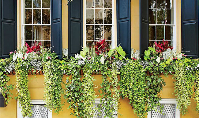 Những mẫu decal trang trí cửa kính đẹp được nhiều khách hàng ưa chuộng và sử dụng